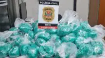 Polícia apreende drogas