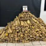 Drogas apreendidas pela Polícia Civil