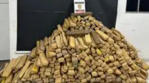 Drogas apreendidas pela Polícia Civil