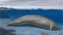 animal mais pesado da história