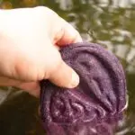 repolho água contaminada