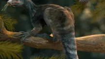 tataravô dinossauro