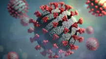 nova cepa coronavirus
