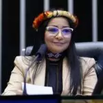 Silvia Waiãpi ONGs