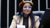 Silvia Waiãpi ONGs