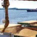 A Força do Agro