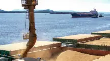 A Força do Agro