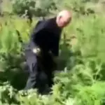 Moraes maconha