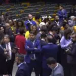 Câmara cotas raciais
