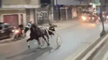 polícia investiga corridas cavalo rua