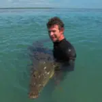 especialista crocodilos estuprado cães