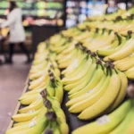 Cartéris Equatorianos Banana