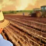 Homem do Campo