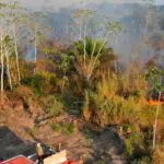 Amazonas aumento queimadas