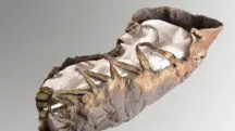sapato mil anos