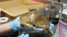 misterioso ovo ouro