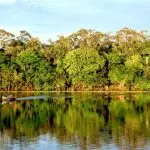 Amazônia