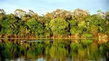 Amazônia