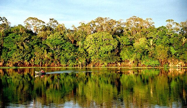 Amazônia
