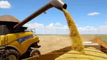 Sorriso soja agronegócio