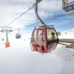 Valle Nevado brasileiro poodle