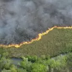 incêndio Bonito MS