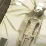 médicos mexicanos seres não humanos