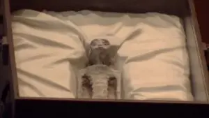 OVNIs extraterrestres México Congresso