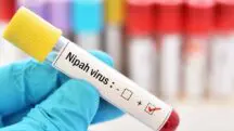 Nipah vírus Índia