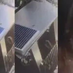 queda de elevador resort