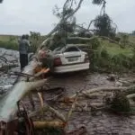 tempestade em sc - homem morre - queda de árvore