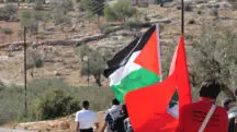 MST convoca ato contra Israel em Brasília