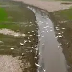 Rio Negro - Amazonas - seca