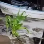 Furacão Otis Acapulco
