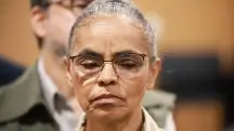 ong marina silva