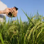 Jovem Agro