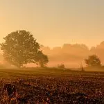 Novembro clima