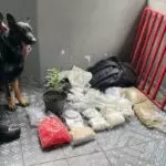 Polícia Drogas