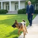 Biden e o cachorro Commander no jardim da Casa Branca