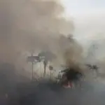 desmatamento queimada amazonia