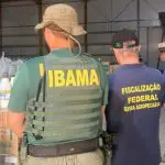 força-tarefa defensivos agrícolas