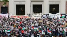 harvard israel