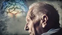 risco demência