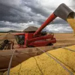 Produção de soja na América Latina