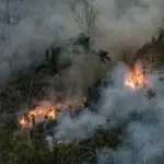 Amazonas queimadas