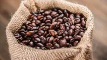 Café Brasileiro Agro