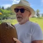 Lula Enem