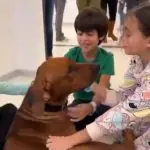 Crianças Hamas cachorro