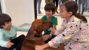 Crianças Hamas cachorro