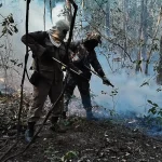 Emergência incendio pantanal